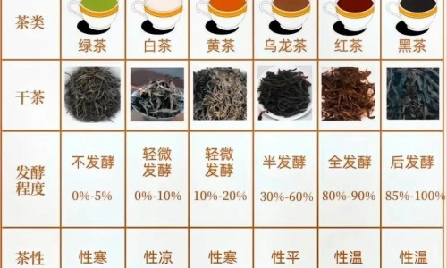 肝病脸上会出现什么症状-【肝病脸上什么症状会痒】肝病脸图片 - 肝病脸上什么症状网