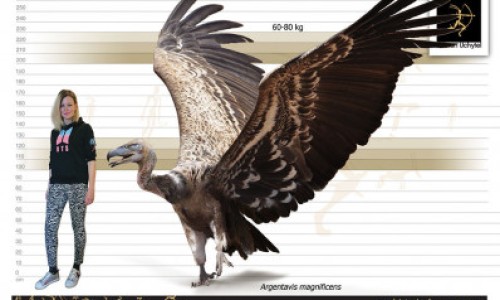 肝病脸上长肝斑图片-【肝病脸上什么症状会痒】肝病脸图片 - 肝病脸上什么症状网